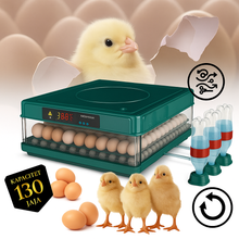 Učitajte sliku u preglednik galerije, Automatski inkubator za jaja – kapacitet 130 jaja