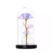Učitajte sliku u preglednik galerije, Vječna ruža u staklenoj kupoli
