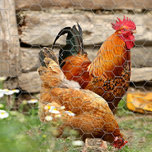 Učitajte sliku u preglednik galerije, Fleksibilna mrežasta ograda za kokošinjac – 25 m duljine