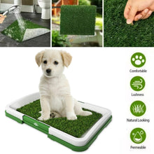 Učitajte sliku u preglednik galerije, WC / toalet za pse i mačke