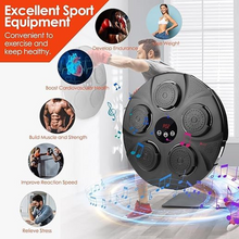 Učitajte sliku u preglednik galerije, Muzička sprava za boks