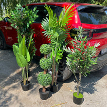 Učitajte sliku u preglednik galerije, Umjetne biljke za svaki prostor – odaberite svoju vrstu