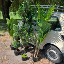 Učitajte sliku u preglednik galerije, Umjetne biljke za svaki prostor – odaberite svoju vrstu